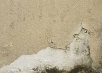 Pintores en Sitges y Vilanova. Eliminar la humedad rápido